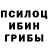 Галлюциногенные грибы Psilocybe Mnogo TV
